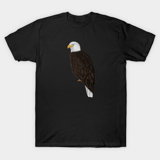 Bald Eagle Bird Watching Birding Ornithologist Gift T-Shirt by jzbirds